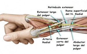 enfermedad de D´Quervain